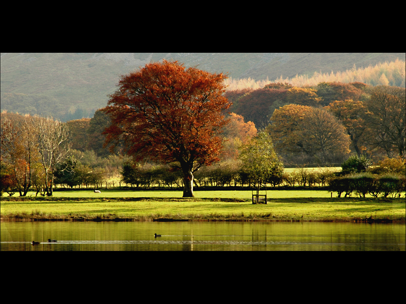 Alan Green_Borrowdale Valley Landscape