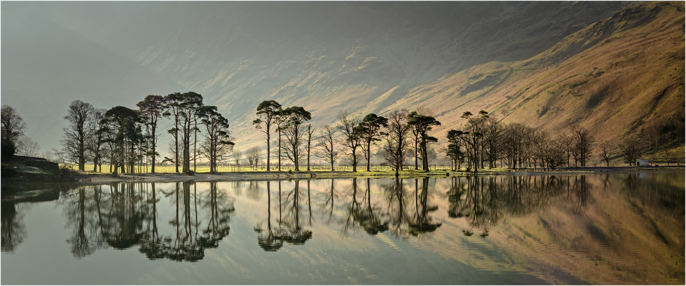 Charles Connor_Pines of Buttermere
