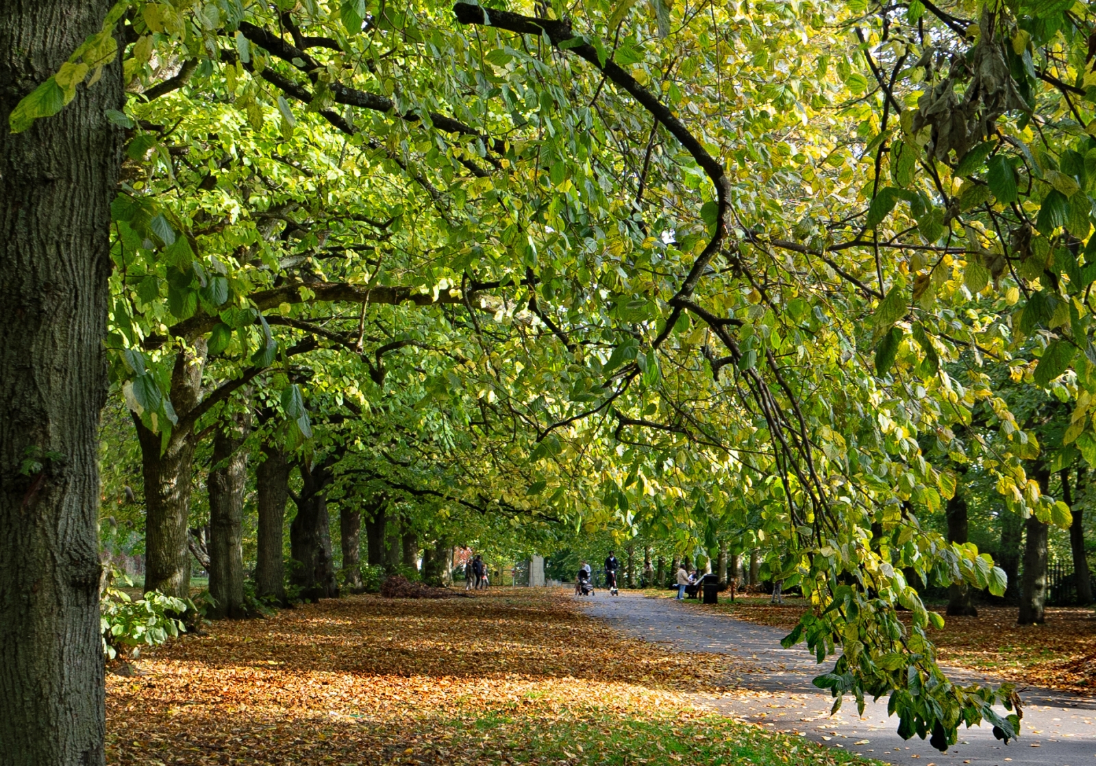 16_A Beautiful Autumn day_Jean Malthouse