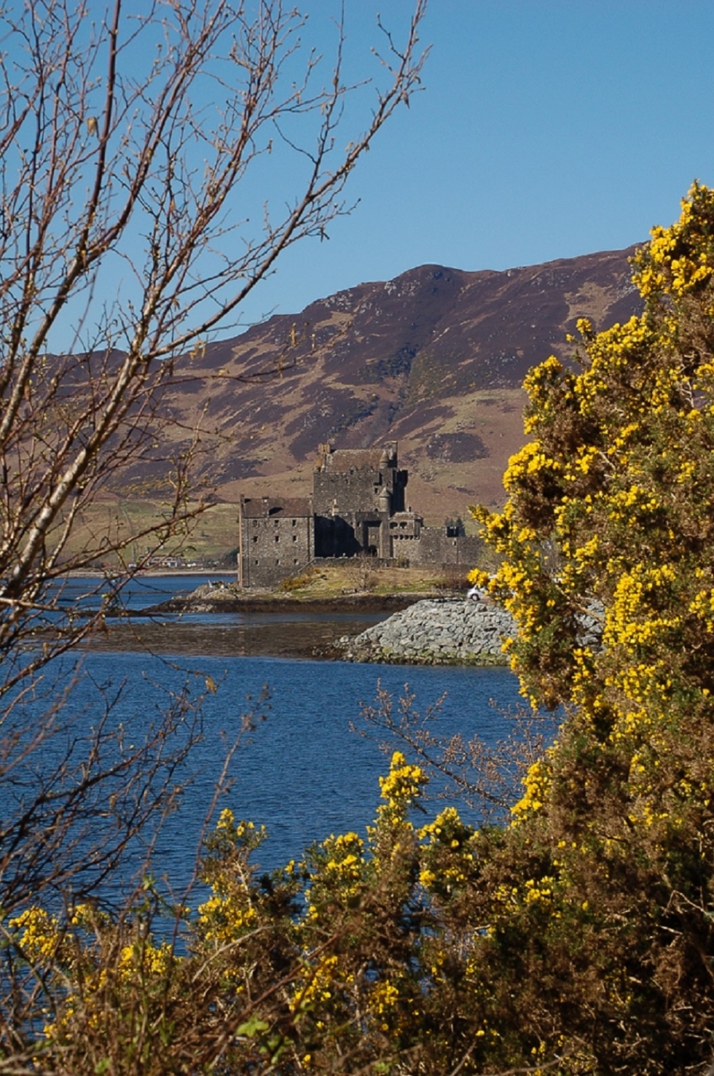 16_Castle_Mark Harrison