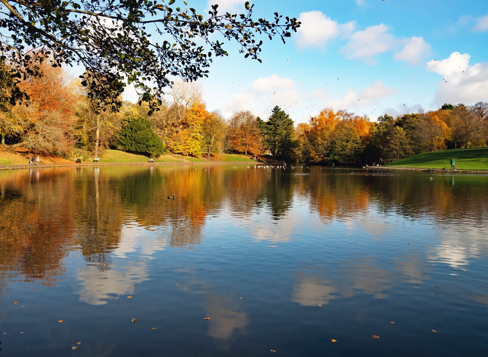 16_Nature in all her Glory_Jean Malthouse