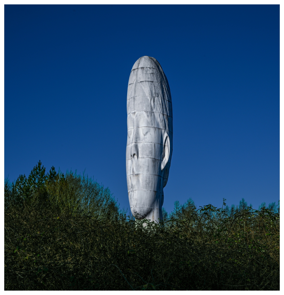 16_Dream_Mark Harrison