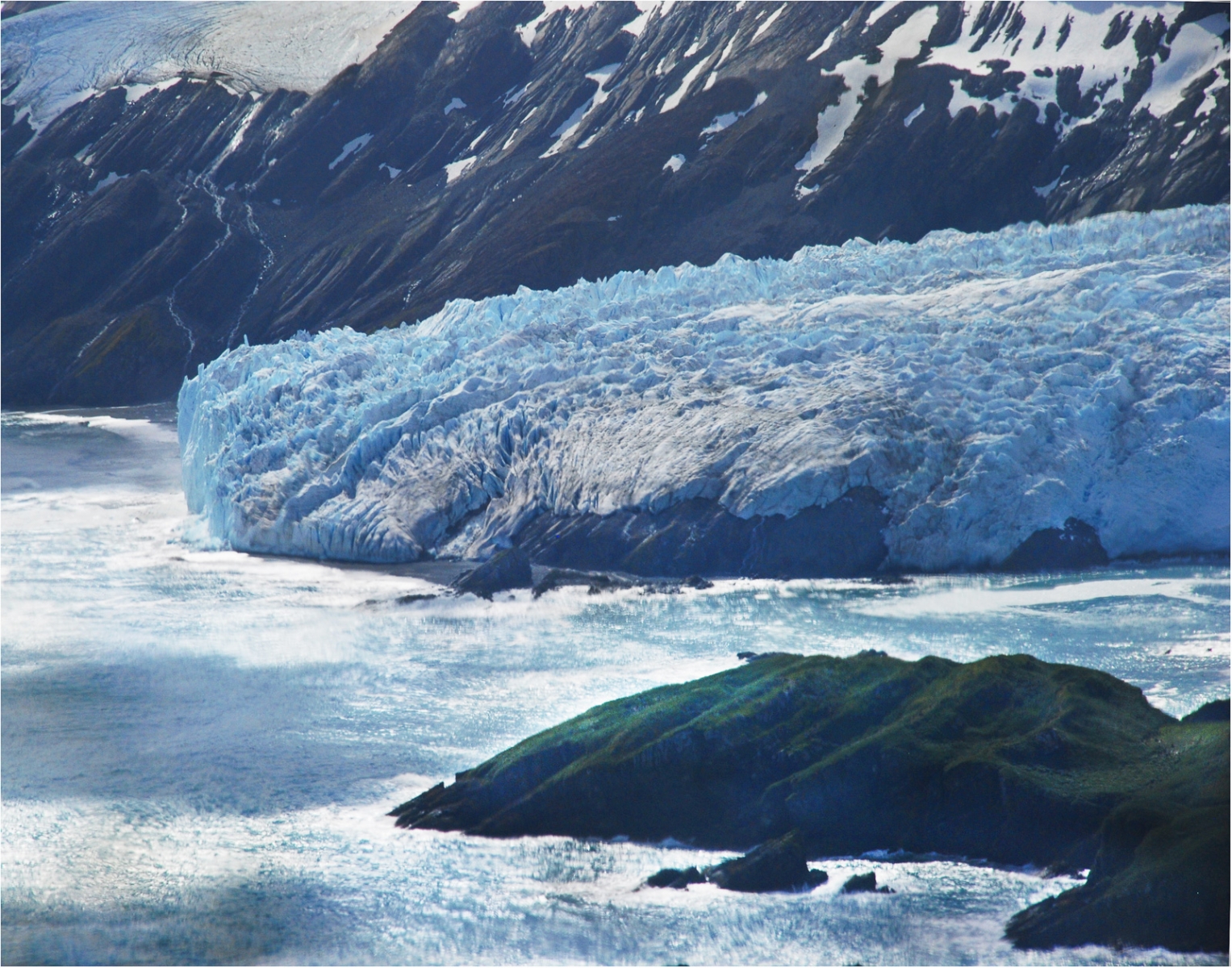 17_South Georgia, South Atlantic_Bill Robinson