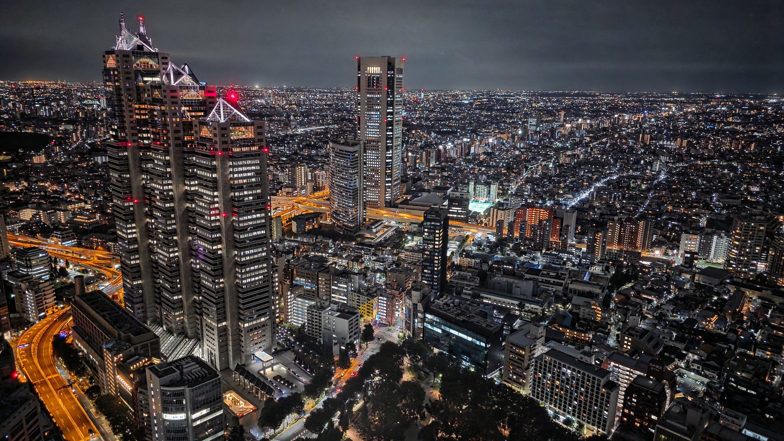 20_Night View from Tokyo Metropolitan Building_Neil Pritchard
