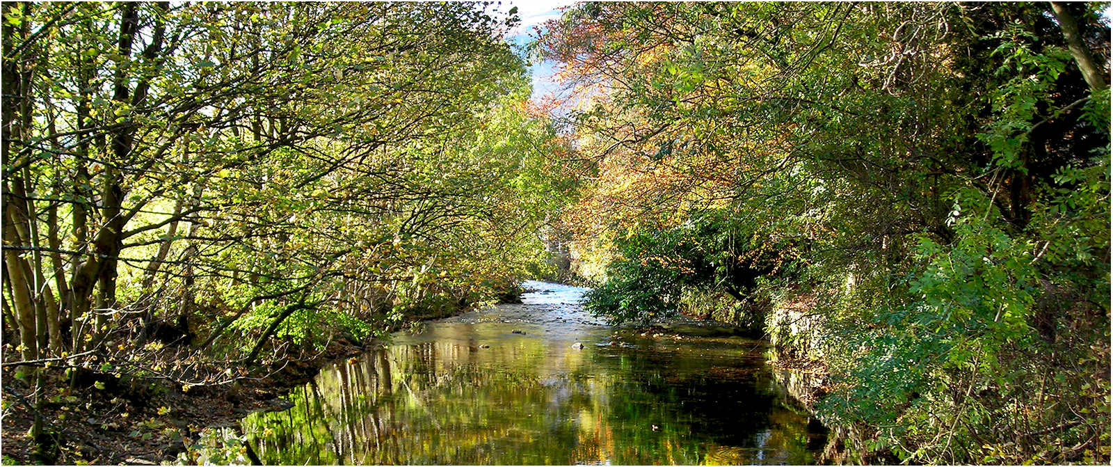 A Walk by the River_Bill Robinson