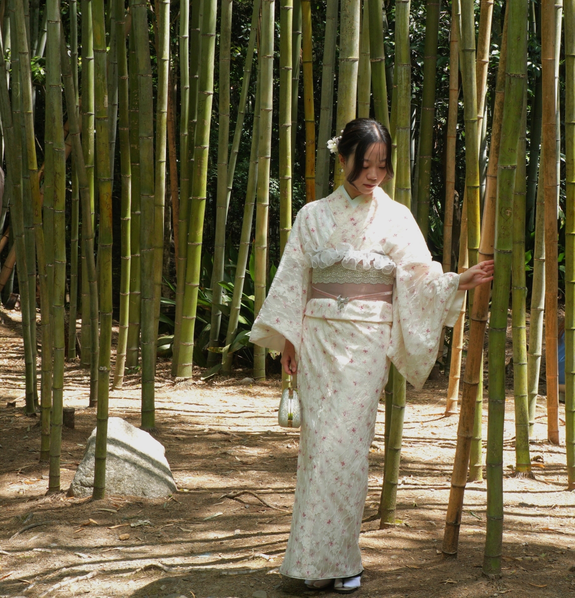 A quiet moment in the Bamboo Forest_Sue Brislen