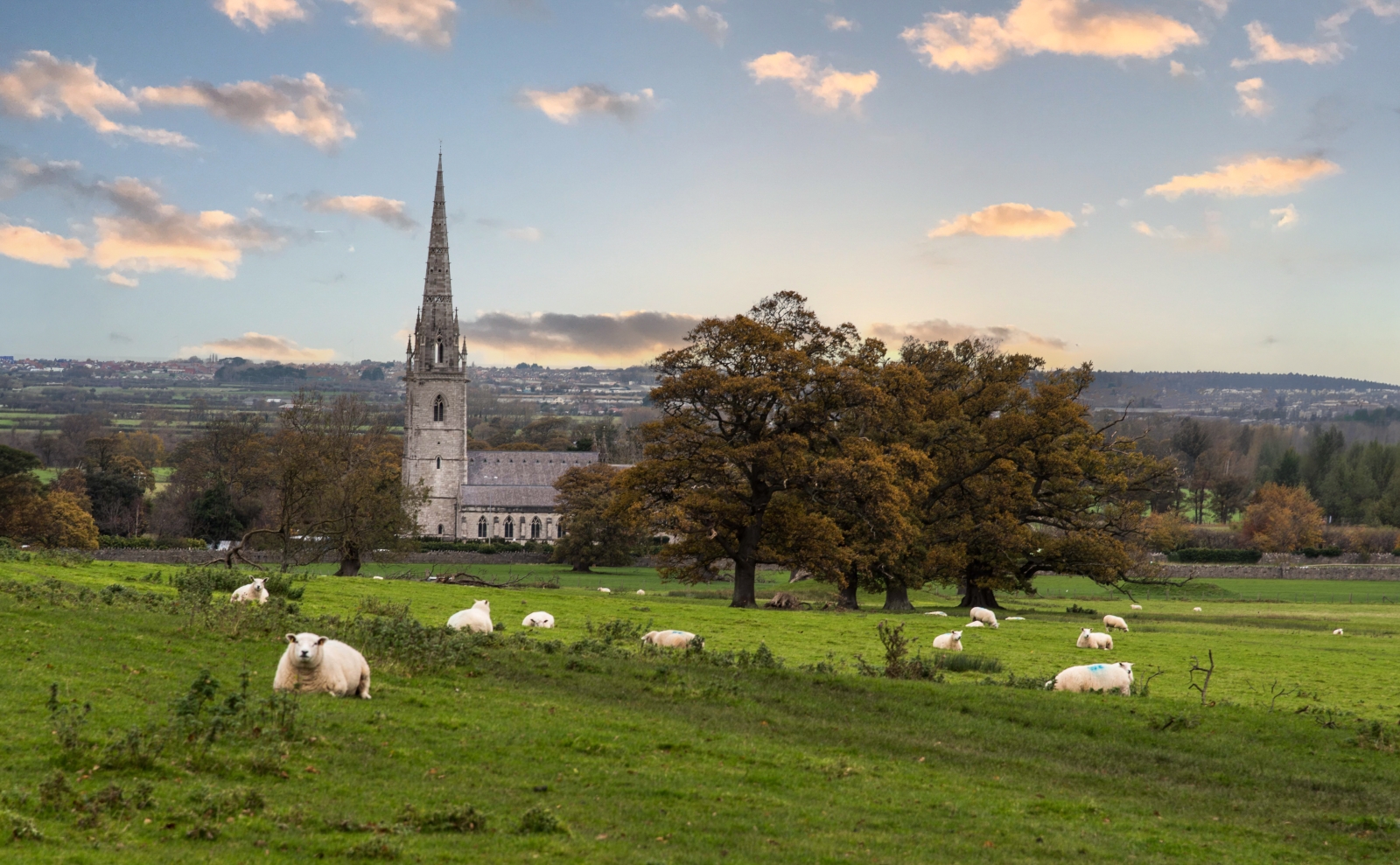 St Asaph Church_David Chesworth