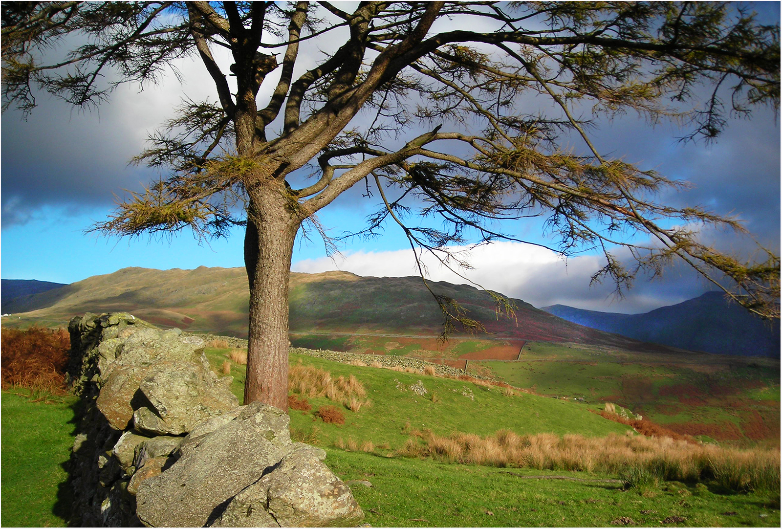 Grasmere_Bill Robinson