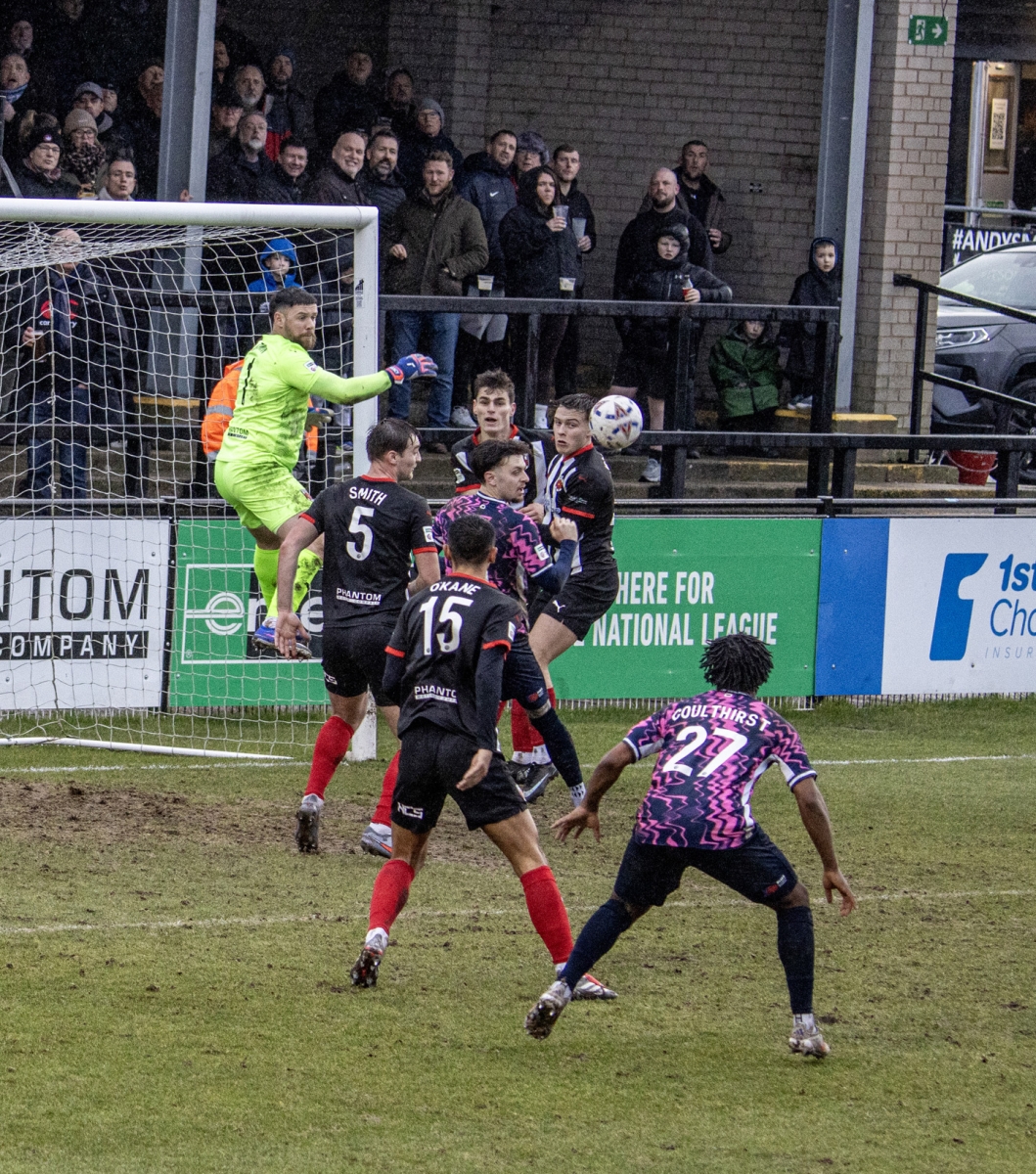 High Jump_David Holmes